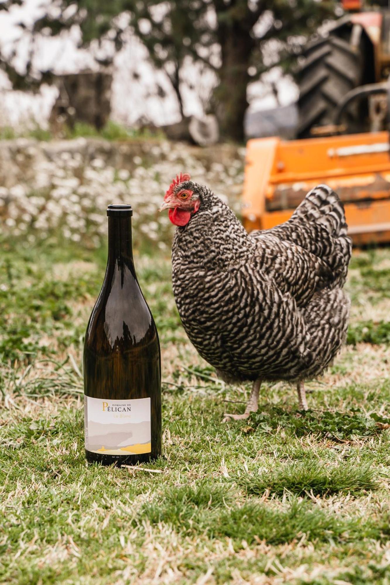 domaine de pelican Gignac (Herault) Exterior foto