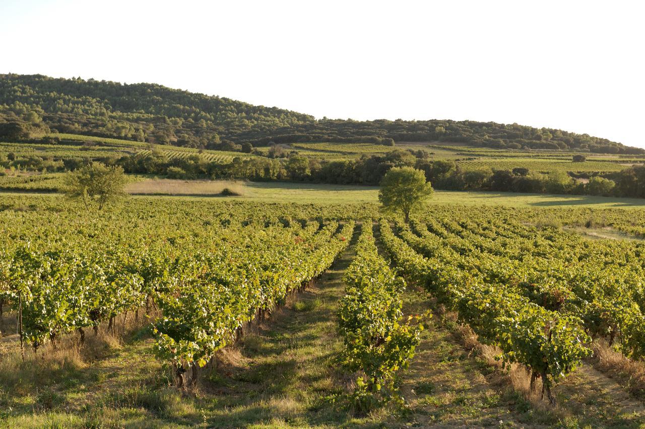 domaine de pelican Gignac (Herault) Exterior foto