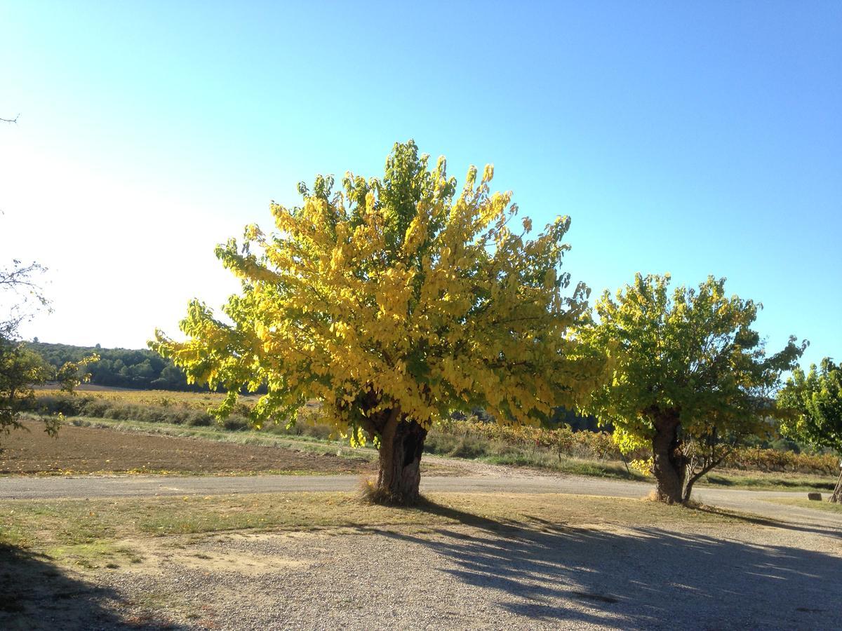 domaine de pelican Gignac (Herault) Exterior foto